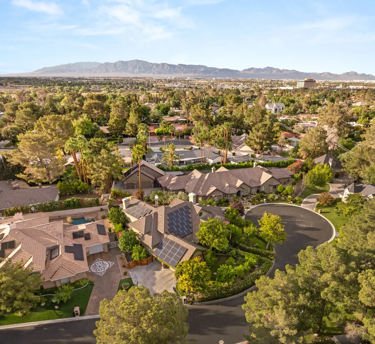 Aerial view of the tree canopy toward the mountains